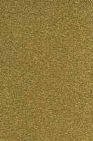 Ковролин AW Vivendi Punch 54 фото 1 | FLOORDEALER